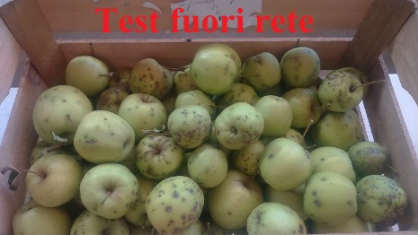 Test fuori rete 