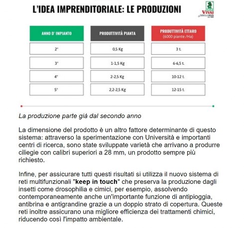 articoli pubblicati su riviste5